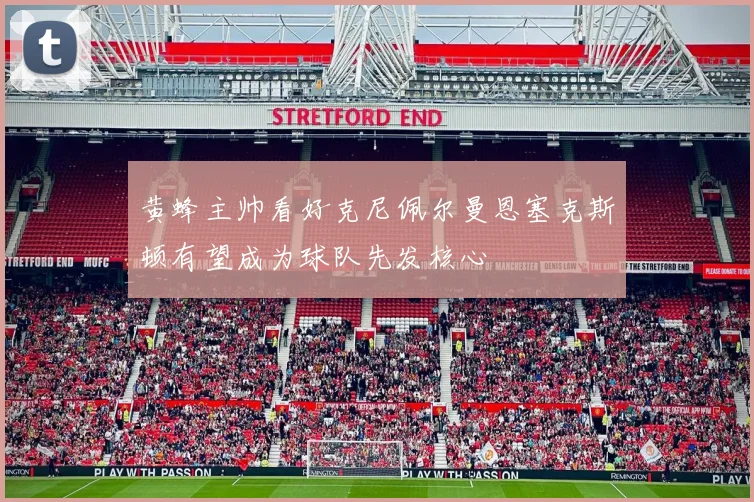 黄蜂主帅看好克尼佩尔曼恩塞克斯顿有望成为球队先发核心