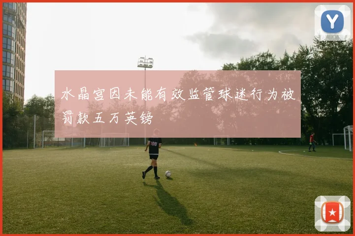 水晶宫因未能有效监管球迷行为被罚款五万英镑