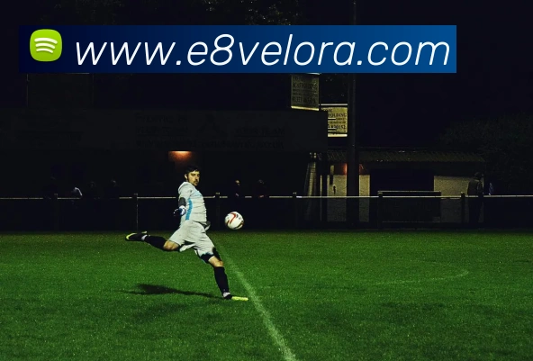 e8娱乐官网平台生态图