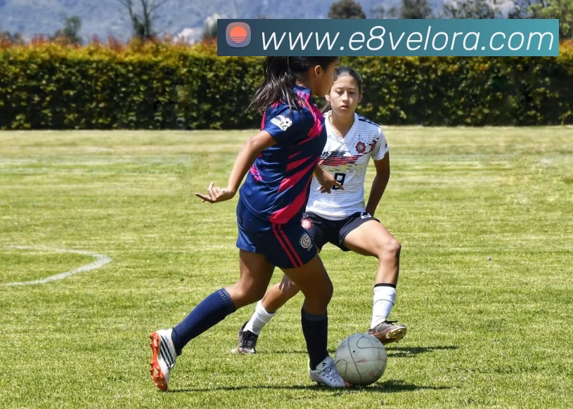 e8娱乐官网APP 封面图